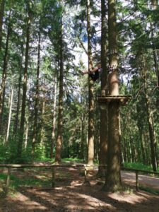 IMG_20200711_163722